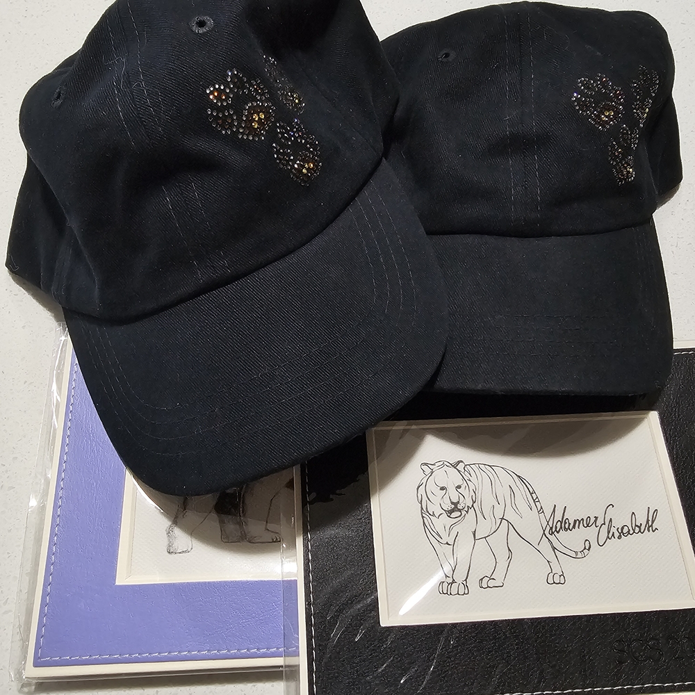 Swarovski SCS Gifts Bundle, Baseball Hats, Scarf And Misc